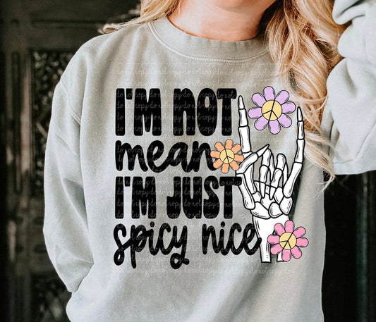 I’m not Mean I’m Spicy Nice snarky tee for women